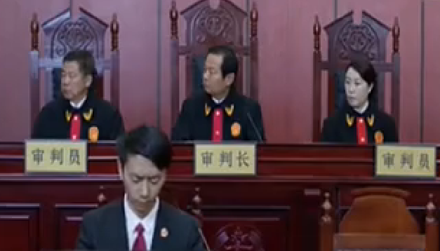 《海天之恋》电视剧_全集(1-26集)免费在线观