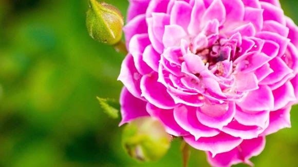 《香水有毒》电影_高清完整版在线观看【影视