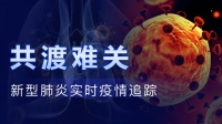 共渡难关 新型肺炎实时疫情追踪