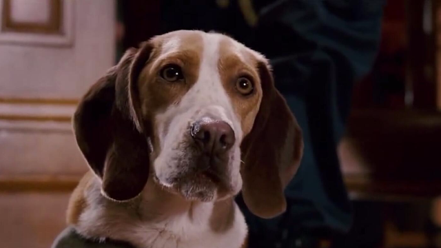 狗狗穿上斗篷还誓言要拯救世界?电影《超狗任务》