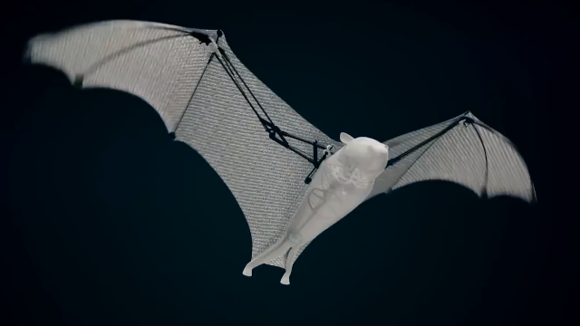老外发明机械蝙蝠,重量不足100克,能自动躲避各种障碍物