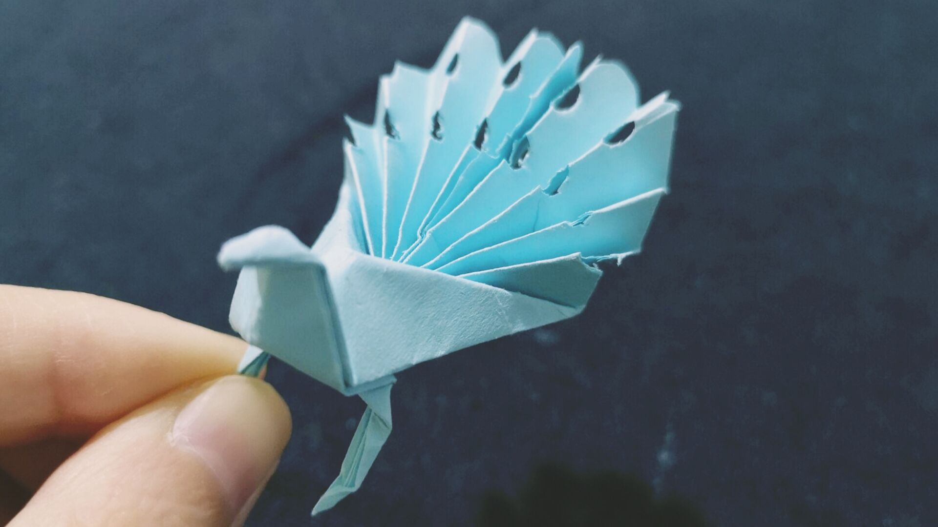 一张纸折的开屏孔雀,惟妙惟肖,快来折一只吧