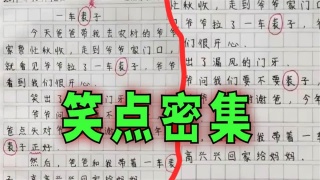 爆笑解说：小学生写错一个字，毁了一篇好作文！