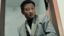 狗尾巴草也是花